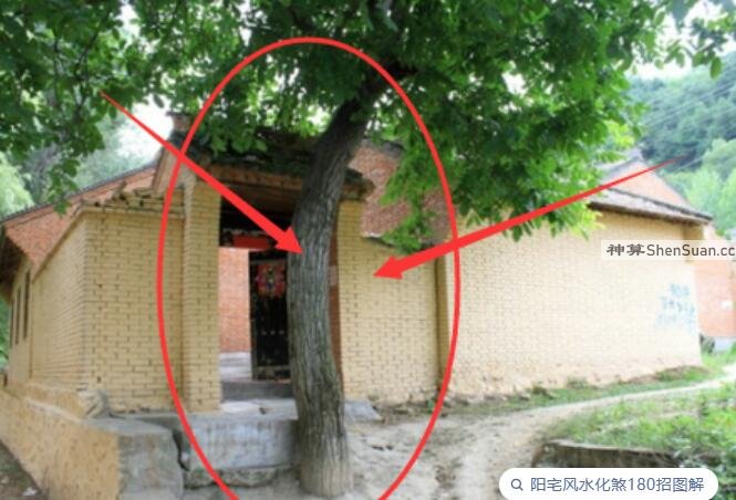 文章图片