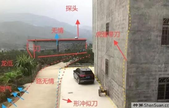 文章图片